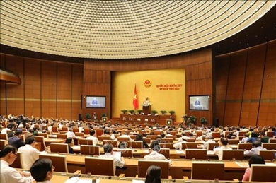 第十四届国会第六次会议： 国会就批准CPTPP问题进行讨论