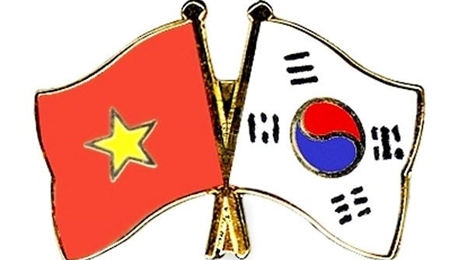 保持越韩关系强有力和全面发展势头