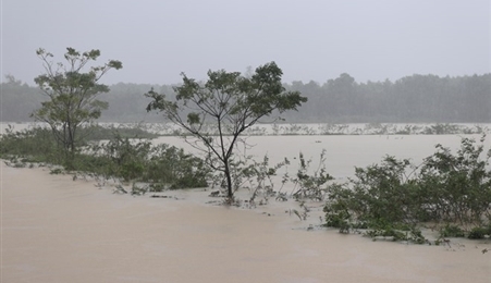 越南中部洪灾致6人死伤失踪，当地经济损失严重