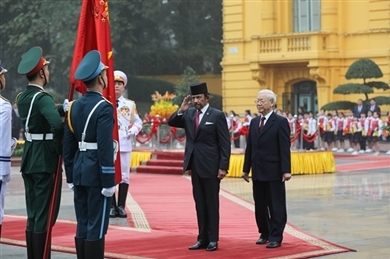 越共中央总书记、国家主席阮富仲举行仪式 欢迎文莱达鲁萨兰国苏丹哈吉·哈桑纳尔·博尔基亚到访