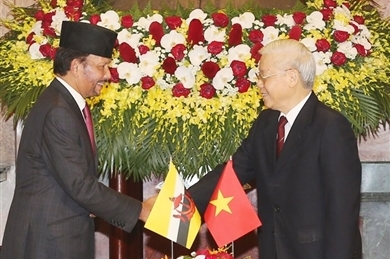 越南与文莱就建立全面伙伴关系发表联合声明