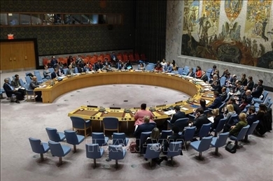 联合国安理会就戈兰高地问题举行紧急会议