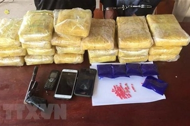 胡志明市公安局截获一辆藏着大量毒品的皮卡车