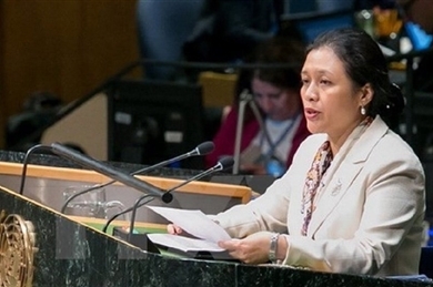 越南对联合国安理会非常任理事国席位竞选持有乐观态度是有依据的