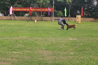 第四次人民公安警犬比赛总决赛在河内举行