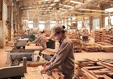 上半年越南林产品出口额增长近20%