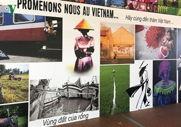越南文化亮相法国舒瓦西勒鲁瓦市文化节