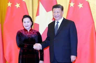 越南国会主席阮氏金银会见中共中央总书记、国家主席习近平