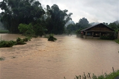 高平省出现强降雨 导致900多间房子被淹 部分水稻和农作物受损