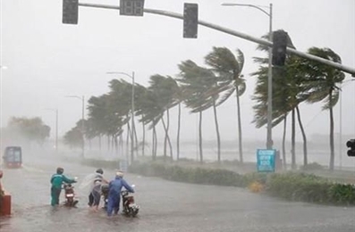 第三号台风：越南政府总理指导各部委和地方政府立即开展救灾工作