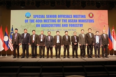 东盟农业和林业高官会议在承天顺化省开幕