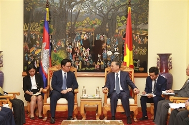 苏林部长会见柬埔寨驻越南大使 