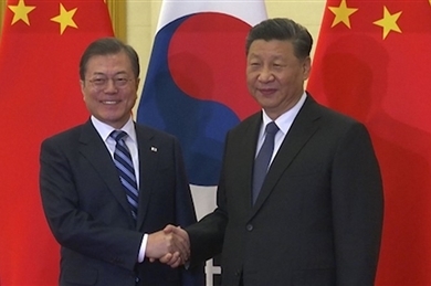 中国国家主席习近平会见韩国总统文在寅