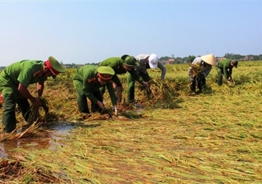 承天顺化省公安力量大雨过后帮助人民收割水稻