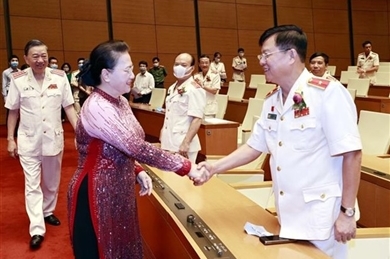 越南国会主席阮氏金银会见维护国家安全先进集体和个人代表团