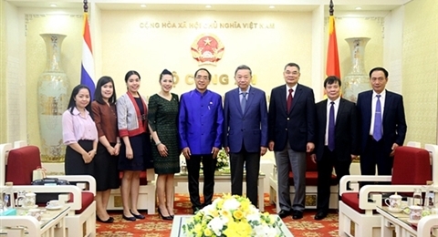 越南公安部部长苏林会见泰国驻越南大使