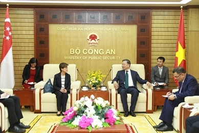 苏林部长会见新加坡驻越南大使