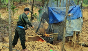 Quảng Nam đề nghị sớm thống nhất giải pháp đóng cửa mỏ vàng Bồng Miêu