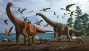 Phát hiện loài khủng long mới có kích thước lớn gần bằng cá voi xanh