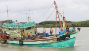 Tăng cường tuần tra, xử lý tàu cá vi phạm quy định “thẻ vàng” IUU