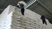 Khẩn trương xuất cấp 4.117,8 tấn gạo dự trữ quốc gia hỗ trợ người dân