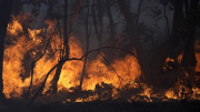 Cận cảnh thảm họa cháy rừng nghiêm trọng nhất mùa hè tại Pháp