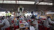 Ngày về của 68 phạm nhân ở trại giam nơi đất Mũi