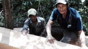 “Lâm tặc” lại phá rừng Khu bảo tồn thiên nhiên Ea Sô