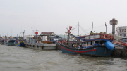 Tăng cường chống khai thác hải sản bất hợp pháp
