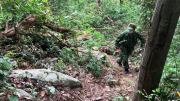 Những bất cập trong công tác bảo vệ rừng ở Ea Sô