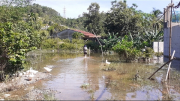 Người dân khốn khổ vì nhà nằm trong quy hoạch dự án bị ngập nước