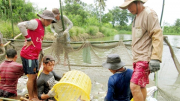 Nỗ lực thúc đẩy phát triển kinh tế giữa đại dịch ảnh 3