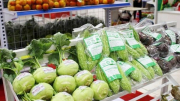 Việt Nam tăng mạnh xuất khẩu sản phẩm rau quả chế biến sang Trung Quốc