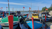 Thừa Thiên-Huế quản lý chống khai thác hải sản bất hợp pháp