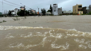 Công an tỉnh Bình Định tập trung giúp dân khắc phục hậu quả lũ lụt