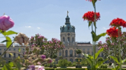 Căn phòng hổ phách của Sa hoàng Romanov