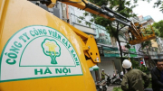 Khởi tố Chủ tịch Công ty TNHH MTV Công viên cây xanh Hà Nội