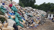 Gần 1 nghìn tấn rác thải công nghiệp tập kết trái phép ven đê