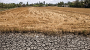 Xâm nhập mặn mùa khô năm 2021-2022 ở mức cao hơn trung bình nhiều năm