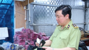 Vì sao Cục trưởng QLTT Ninh Bình bị khởi tố?