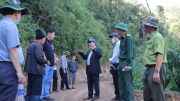 Chuyển hồ sơ vụ phá rừng tại VQG Bidoup – Núi Bà sang cơ quan điều tra