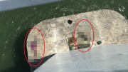 Tìm kiếm thi thể nữ, bất ngờ phát hiện thi thể nam dưới cầu Thuận Phước