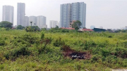 Xem xét các dự án phải thu hồi đất tại Thanh Hóa