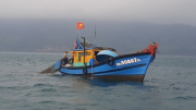Bắt quả tang tàu giã cào hoạt động trái phép trên vùng biển Thừa Thiên-Huế