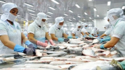 Thêm 6 nhà máy chế biến cá tra Việt Nam được công nhận xuất khẩu vào Mỹ