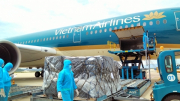 Vietnam Airlines lên tiếng về việc tổ bay bị nhà chức trách Australia kiểm tra