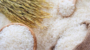 Xuất khẩu gạo vào thị trường Bắc Âu, doanh nghiệp nên tìm hiểu thị trường ngách