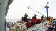 Việt Nam quan tâm việc Mỹ muốn hợp tác chống đánh bắt cá trái phép