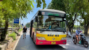 Hà Nội tìm phương án thay thế 5 tuyến xe buýt xin ngừng chạy