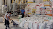 Xuất cấp hơn 432 tấn gạo hỗ trợ người dân tỉnh Bình Phước